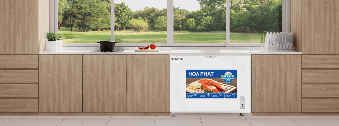 Tủ bảo quản 1 ngăn Hòa Phát 252L HPF-AD6252x